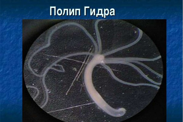 Кракен сайт kraken2