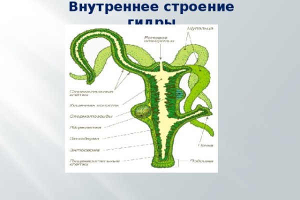 Кракен сайт ссылки актуальные