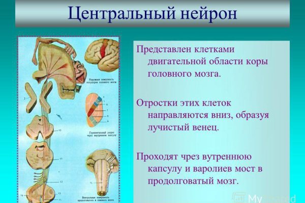 Кракен браузер
